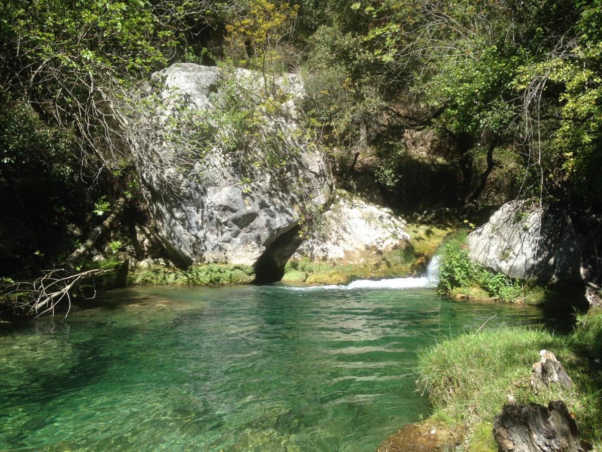 Escragnolles Lodge Du Berlandou מראה חיצוני תמונה